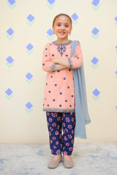 Shanzey Stitched 3 Piece Emb Lawn Farshi Edit Suit-SHK-4437