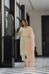 Dressline Neva Stitched 3 Piece Emb Luxury Organza Collection