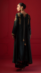 Baraysham By Najia Zia Stitched 2 Piece Winter Collection'2025-Morni