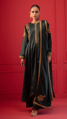 Baraysham By Najia Zia Stitched 2 Piece Winter Collection'2025-Morni
