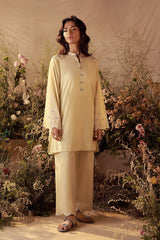 Sahar Stitched 2 Piece Pret Essentials Co Ords Sets Suit-Zinnia