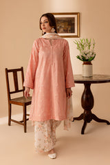 Fusion Festive 24 By Mannat Clothing Stitched Collection-Eyana