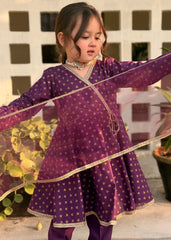 Modest Stitched 3 Piece Festive Edit Vol-02 Suit-9630-Prpl