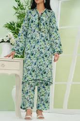 Aizal Stitched 2 Piece Co Ords Prints 2 Collection'2025-AC2-674-Sky Blue