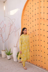 Tehzeeb Threads Summer Collection Soft Lawn Cambric Stitched 2 Piece (Shirt/Trouser)
