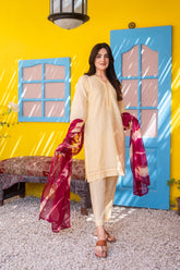 Dressline Ziya Premium Stitched 3 Piece Bindhi Broshia Lawn Suit With Chiffon Dupatta Al Umer Textile