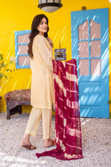 Dressline Ziya Premium Stitched 3 Piece Bindhi Broshia Lawn Suit With Chiffon Dupatta Al Umer Textile