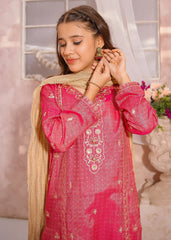 Modest Stitched 3 Piece Eid Edit Vol-02 Suit-10755-Pnk