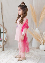 Modest Stitched 3 Piece Festive Formals Suit-11130-Pnk