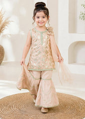 Modest Stitched 3 Piece Festive Formals Vol-02 Suit-11330-Pch