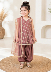Modest Stitched 3 Piece Festive Formals Vol-02 Suit-11300-TPnk