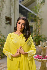 Silcot Stitched Summer Collection'2025-Noor-e-Nazakat