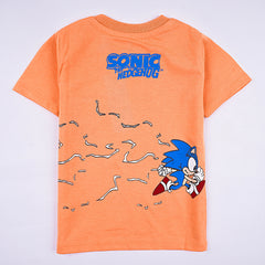 Kjunction Boys Half Sleeves-Printed T-Shirt (Hedge-Hog)