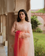 Purane Darwaze By Pashma Khan Stitched Formals Collection'2025-Aira