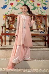 Chiffon Embroidered 3 Pc Suit - Wear Ochre