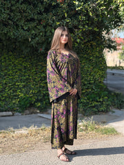 BK Clothings Stitched 2 Piece Lawn Collection-Venzila