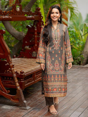 Tng By Md Stitched Baag Collection-Miraas | 2 Piece | Printed | Olive