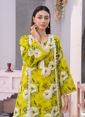 Women Dress