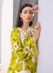 Women Dress