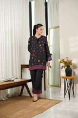 Dhaga Stitched 2 Piece Poly Cambric Collection'2025-Becca