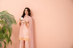 Tiraz Stitched 3 Piece Summer Suit-Ayra - 3pc