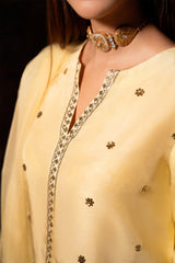 Meeru By Sheenora Stitched 3 Piece Festive Pret Collection'2025-PERIDOT