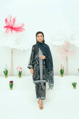 Amal Unstitched 3 Piece Printed Lawn Collection