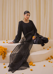 Chamak Dhamak By Pashma Khan Eid Collection'2025-Visal