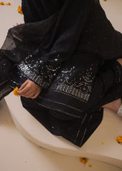 Chamak Dhamak By Pashma Khan Eid Collection'2025-Visal