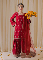 Chamak Dhamak By Pashma Khan Eid Collection'2025-Emaan