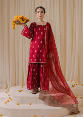 Chamak Dhamak By Pashma Khan Eid Collection'2025-Emaan