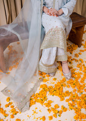 Chamak Dhamak By Pashma Khan Eid Collection'2025-Umeed