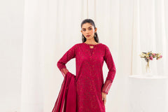 Aayra Stitched Summer Collection'2025-AY703- Rosy Elegance 3Pc