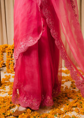 Chamak Dhamak By Pashma Khan Eid Collection'2025-Meena