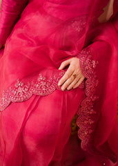 Chamak Dhamak By Pashma Khan Eid Collection'2025-Meena