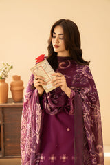 Tiraz Stitched 3 Piece Summer Suit-Eshaal