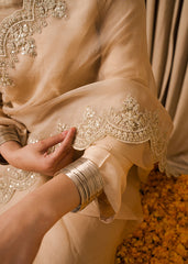 Chamak Dhamak By Pashma Khan Eid Collection'2025-Zarnoor