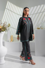 Dhaga Stitched 2 Piece Crepe Suit-Juna