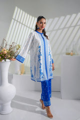 Dhaga Stitched 2 Piece Crepe Suit-Eloise