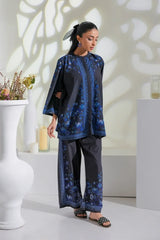 Dhaga Stitched 2 Piece Crepe Suit-Eudora