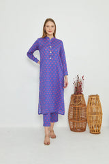 Dhaga Stitched 2 Piece Cambric Collection'2025-matching separate 0037