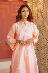 Daily Desire By Abeera Stitched 2 Piece Cotton Collection'2025-Everyday Elegance