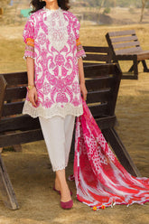 Meraki by Asifa N Nabeel Unstitched 3 Piece Lawn Collection'2024-Fia