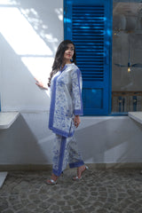 Amal Stitched 2 Piece Luxury Lawn Collection-Luna