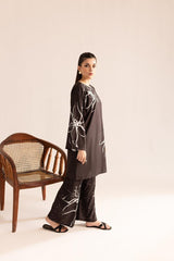 Heeriye Printed Co-Ord Set (Pret) - 303