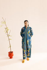Heeriye Printed Co-Ord Set (Pret) - 805