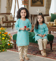 Hiba Fashion Seagreen and Fawn 2 PC Chiffon suit (BFC-0023)