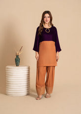 Luxe A Velvet Affair By Stitch Vibes Stitched Winter Suit-Gold Color Block Velvet Dress