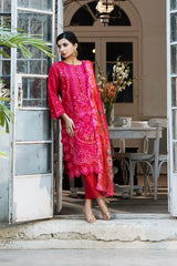 Dhaga Stitched 3 Piece Embroidered Summer Suit-Carmine