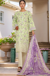 HZ Stitched 3 Piece Chikankari Cambric Collection'2025-LPK-3P-524